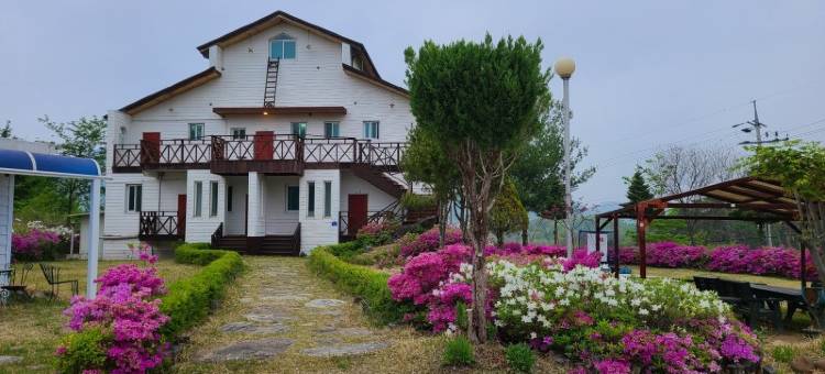 齐川Dream Lake旅馆(Jecheon Dream Lake Pension)图片