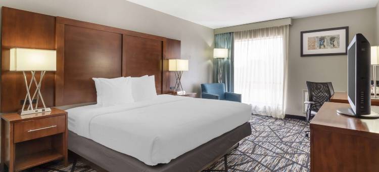 英格拉姆公园贝斯特韦斯特酒店(Best Western Ingram Park Inn)图片