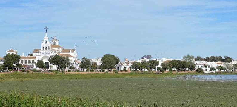 昂艾斯布查尔 23 酒店 - 限成人(On Acebuchal 23)图片