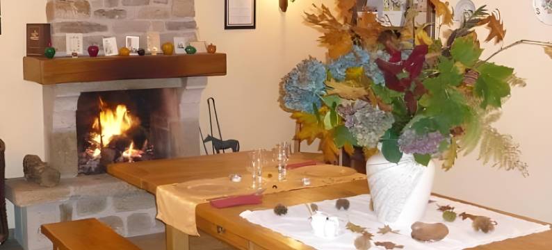 德玛内德乐斯瓦内尔酒店(Domaine de Lesvaniel)图片