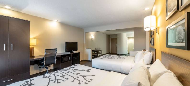 绿湾南舒眠套房酒店(Sleep Inn & Suites Green Bay South)图片