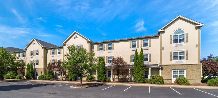 舒适酒店套房(Comfort Inn & Suites)图片