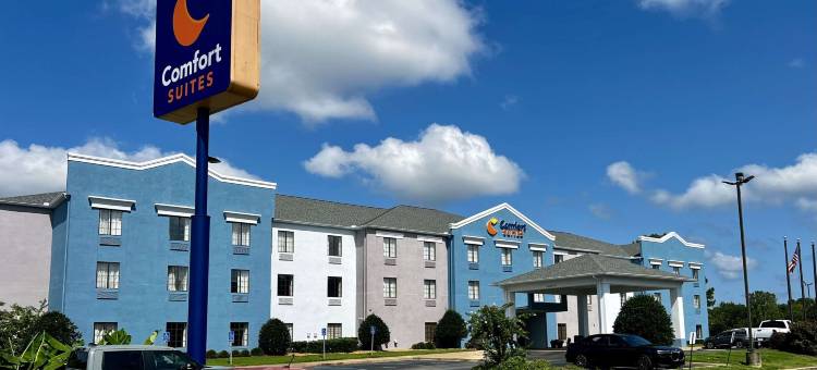 阿塔拉加兹登舒适套房酒店(Comfort Suites Gadsden Attalla)图片