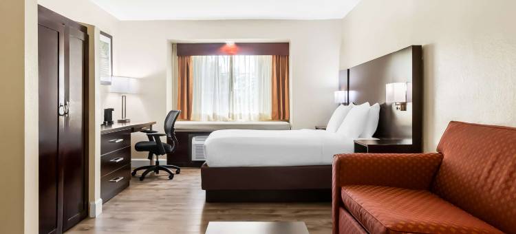 爱国者地贝斯特韦斯特酒店(Best Western Patriots Point)图片