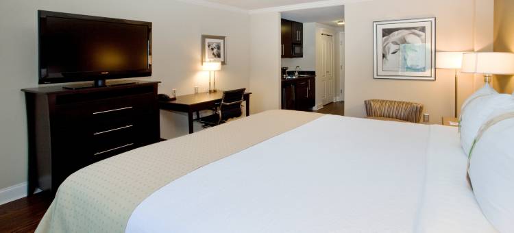 Holiday Inn 梅肯北(Holiday Inn MACON NORTH by IHG)图片