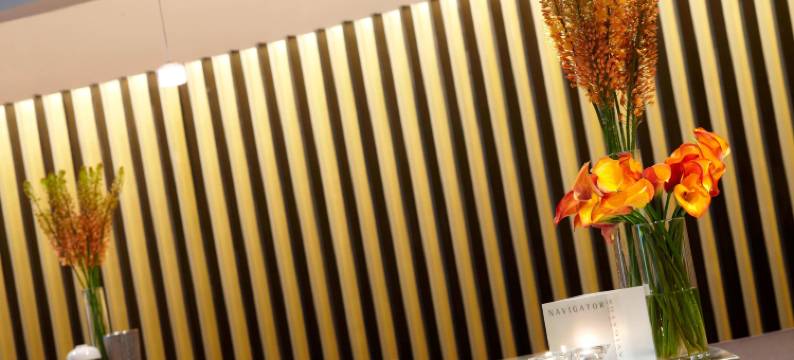 圣路易斯机场万丽酒店(Renaissance St. Louis Airport Hotel)图片