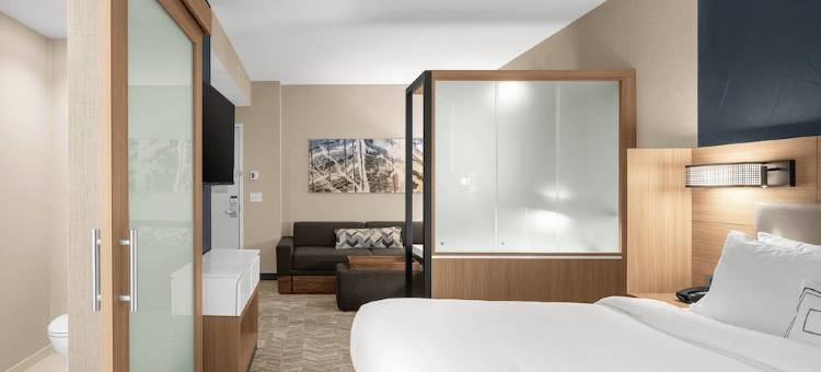 杰克逊万豪SpringHill Suites酒店(SpringHill Suites Jackson)图片