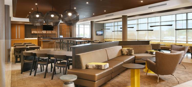 达拉斯DFW机场南中心港万豪SpringHill Suites酒店(SpringHill Suites Dallas DFW Airport South/CentrePort)图片