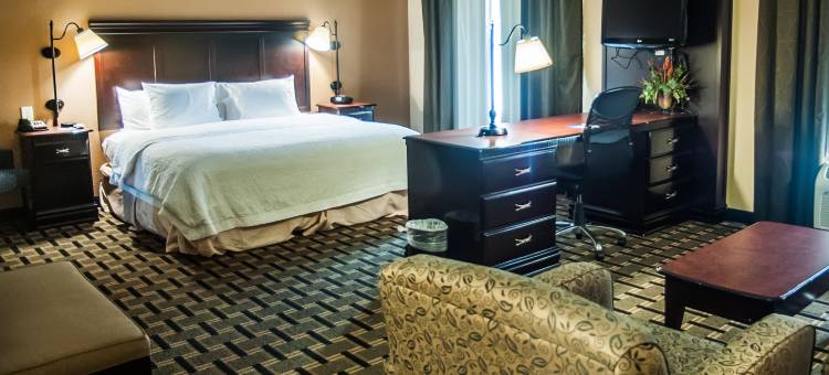 希尔顿欢朋套房酒店-帕勒斯坦(Hampton Inn & Suites Palestine)图片