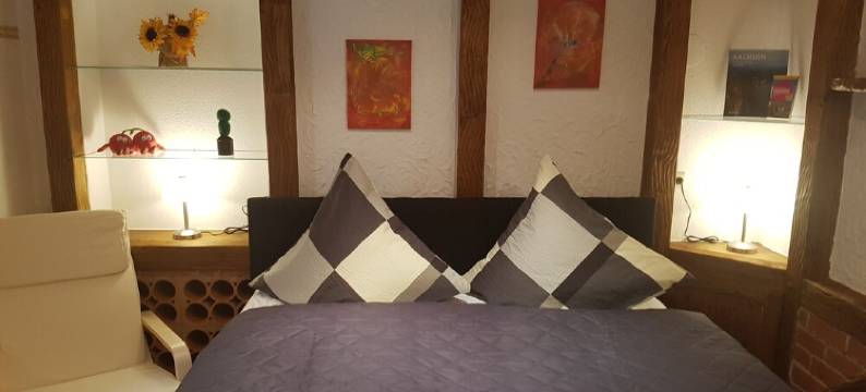 Cozy apartment in the beautiful Ore Mountains - summer apartment图片