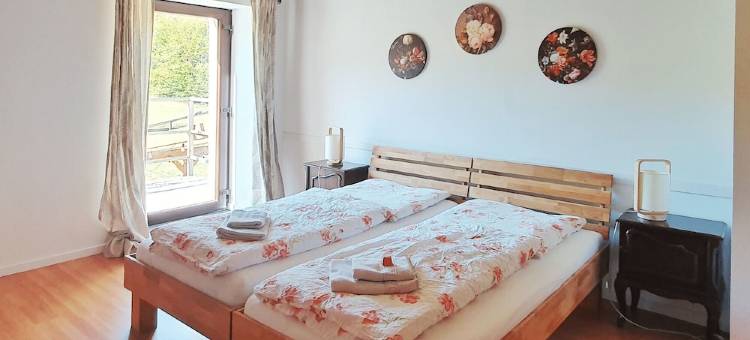 renovated farmhouse for groups and families in nature, dogs welcome, playground图片