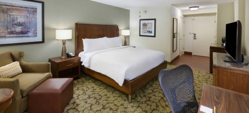 北亚特兰大/阿尔普哈雷塔希尔顿花园酒店(Hilton Garden Inn Atlanta North/Alpharetta)图片