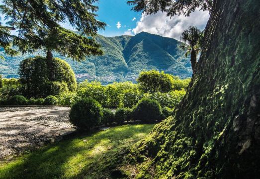 Villa Orchidea by Elite VillasHotel Overview