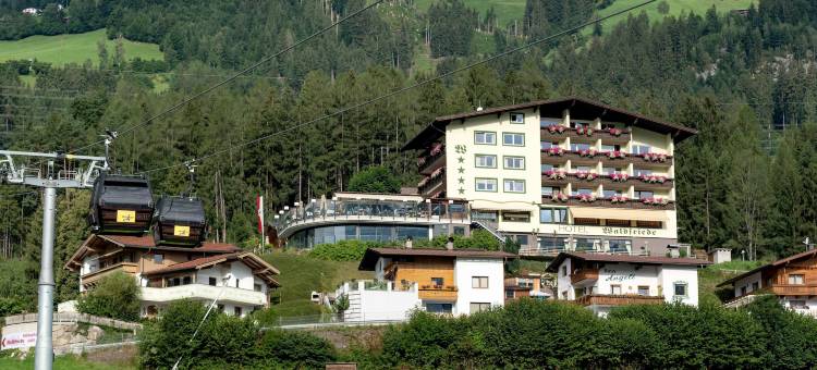 沃尔德弗雷迪酒店(Hotel Waldfriede - der Logenplatz im Zillertal)图片