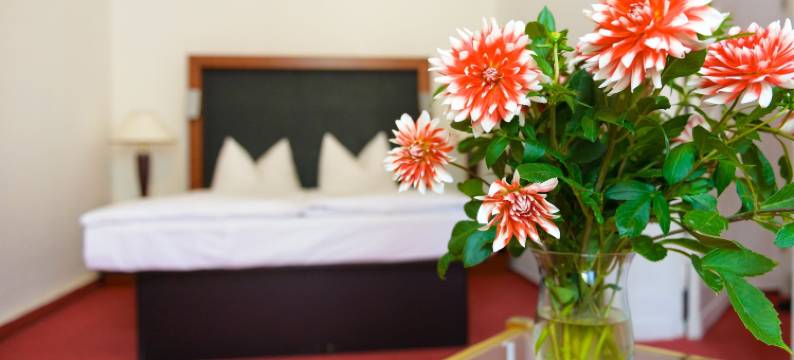 阿姆希特老城酒店(Altstadthotel am Theater)图片