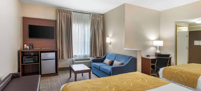 舒适套房酒店(Comfort Suites)图片