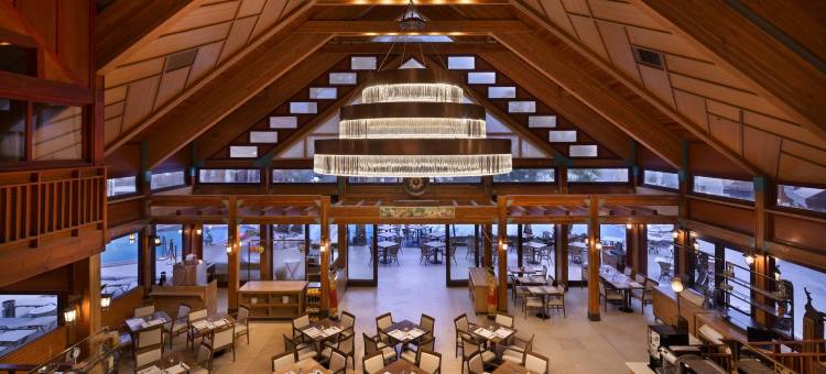 埃拉特兰花酒店(Orchid Eilat Hotel)图片