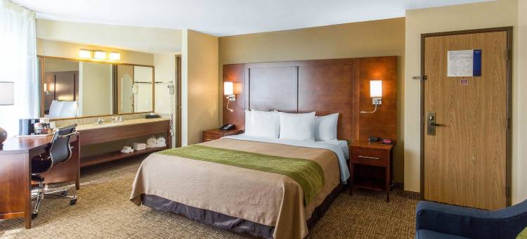 北威奇托福尔斯舒适酒店(Comfort Inn Wichita Falls North)图片