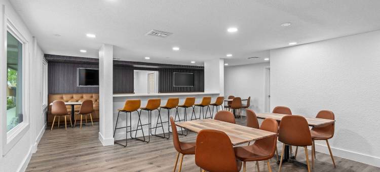 速8酒店-由温德姆管理基西米-奥兰多(Super 8 by Wyndham Kissimmee/Orlando)图片