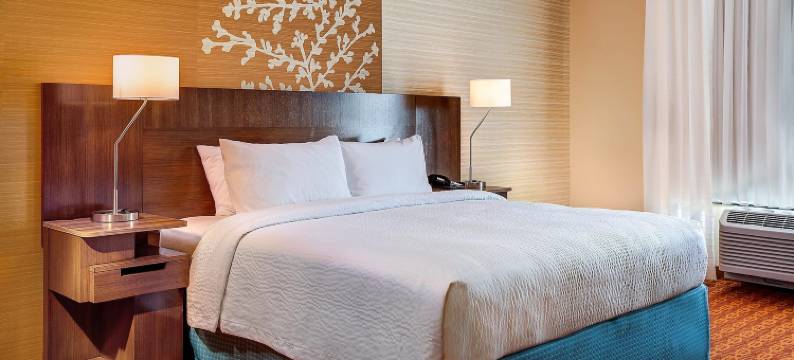 夏洛茨维尔市区-大学区万枫套房酒店(Fairfield Inn & Suites Charlottesville Downtown/University Area)图片