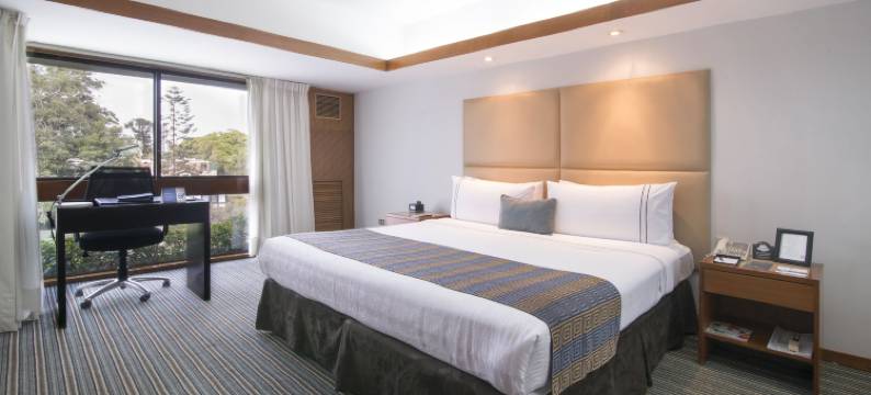 爱尔欧里瓦索尼斯塔酒店(Sonesta Hotel El Olivar Lima)图片