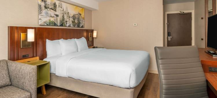 舒适酒店-西部(Comfort Inn West)图片