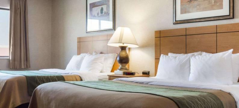 舒适酒店(Comfort Inn)图片