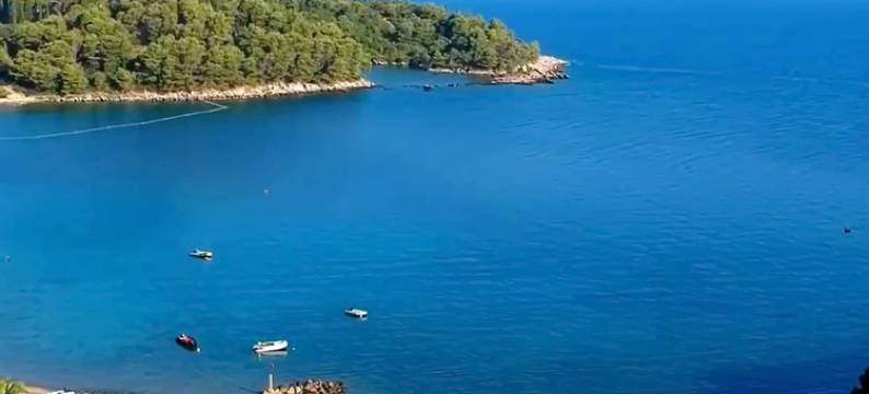 薰衣草小屋(Lavender Cottage)图片