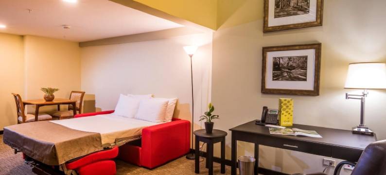 都市绿色酒店与套房(Urban Green Hotel & Suites)图片