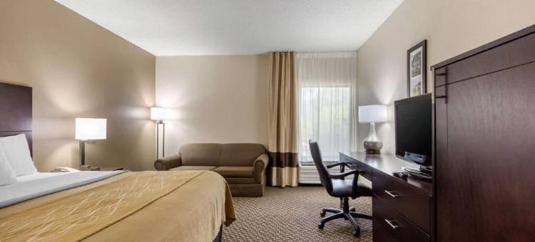 舒适酒店霍恩莱克 - 南黑文(Comfort Inn Horn Lake - Southhaven)图片