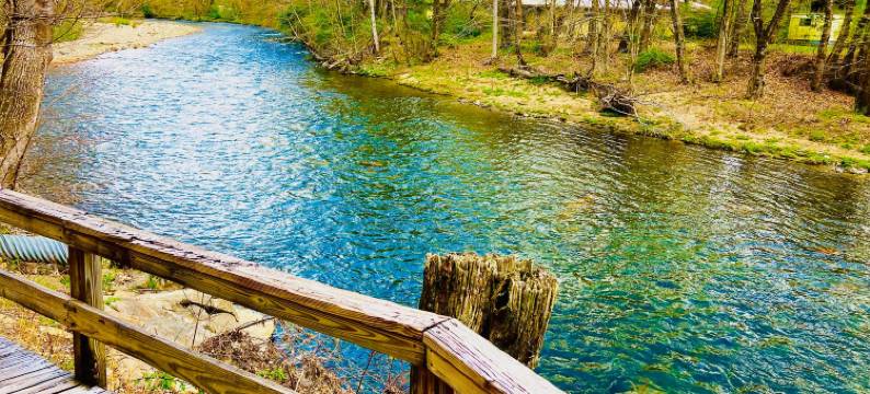 河畔新发现小屋(Newfound Lodge on the river)图片