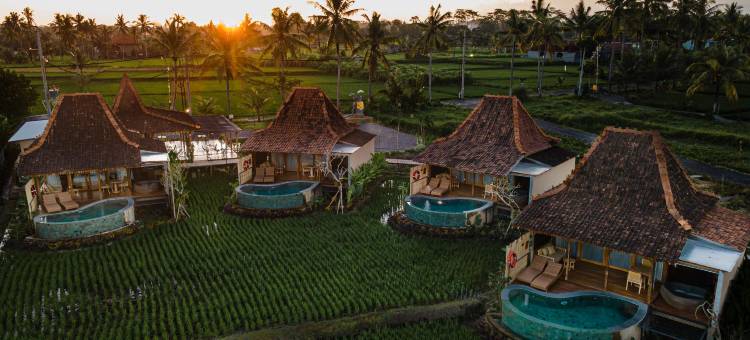 乌布 DITUJU(DITUJU Ubud by GenuineHost)图片