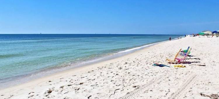 梦想捕手(Dream Catcher)图片