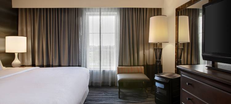 希尔顿奥兰多机场大使套房酒店(Embassy Suites by Hilton Orlando Airport)图片