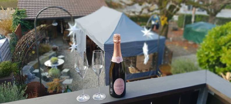 沃尔克 4 号旅馆(Wolke 4 Guesthouse)图片