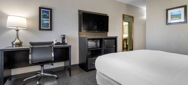 格里尔-格林维尔机场舒适套房酒店(Comfort Inn & Suites Greer - Greenville)图片