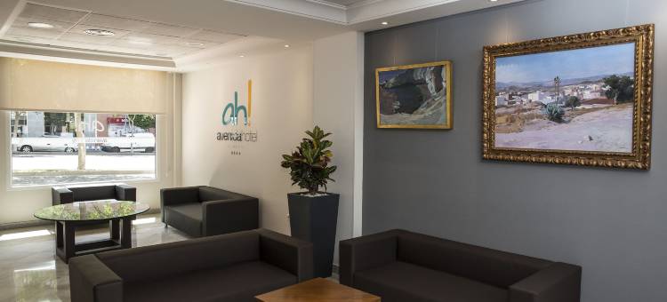 阿维尼达酒店(Avenida Hotel)图片