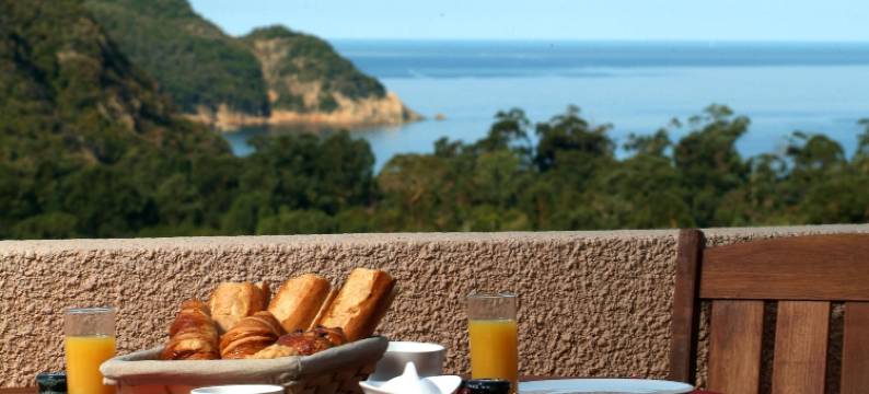 卡波奥托酒店(Capo d'Orto - Porto - Corse)图片