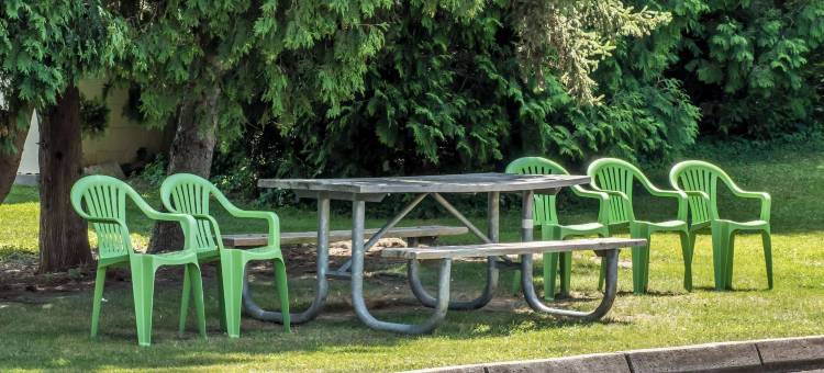 贝德福德凯艺酒店(Quality Inn)图片