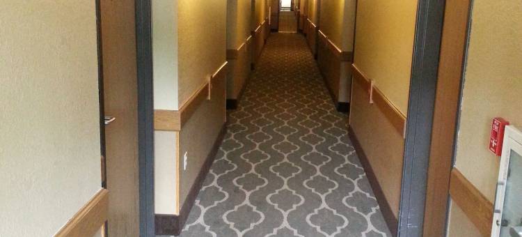 伯灵顿美吟温德姆酒店(AmericInn by Wyndham Burlington)图片