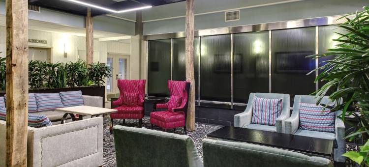 威廉斯堡希尔顿安泊酒店(Embassy Suites by Hilton Williamsburg)图片