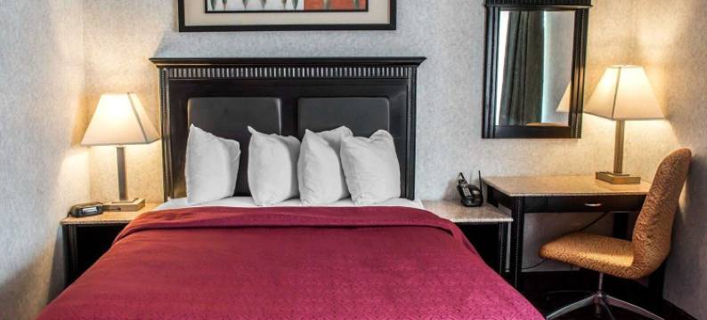 吉布森尼亚-匹兹堡北品质酒店及套房(Quality Inn & Suites Gibsonia - Pittsburgh North)图片