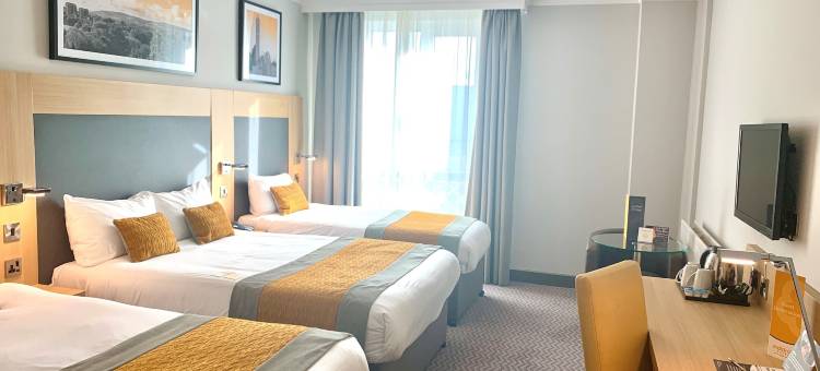 纽兰克罗斯马尔丹酒店(Maldron Hotel, Newlands Cross)图片