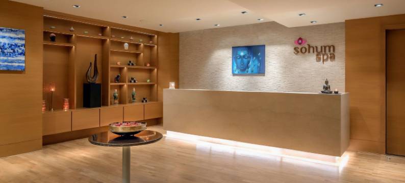 金奈羽毛拉达酒店(Feathers - A Radha Hotel Chennai)图片