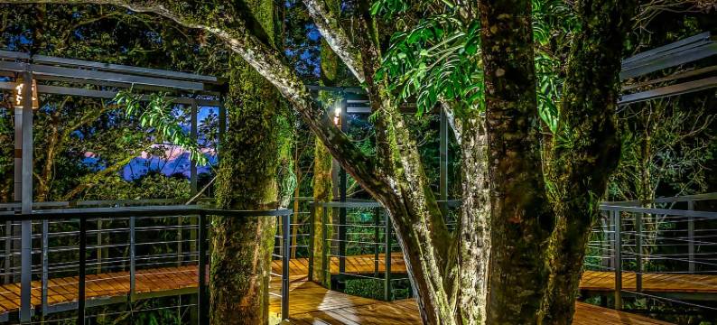 云雾森林旅馆(Cloud Forest Lodge)图片