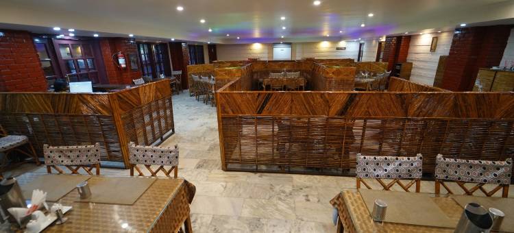 巴尔米拉大酒店(Hotel Palmyra Grand Inn)图片