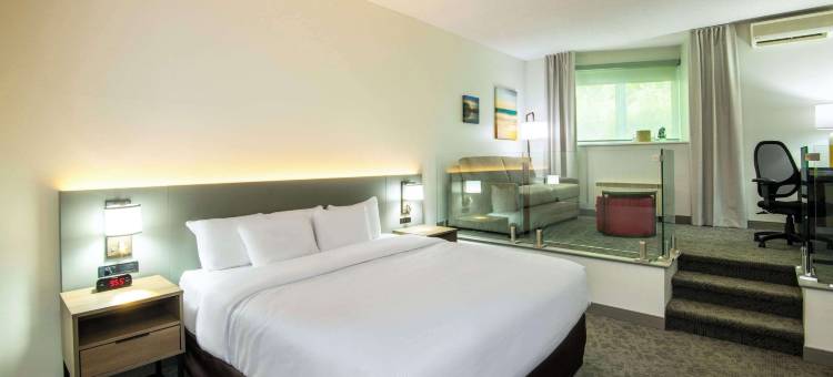 蒙洛里耶舒适酒店(Comfort Inn Mont Laurier)图片