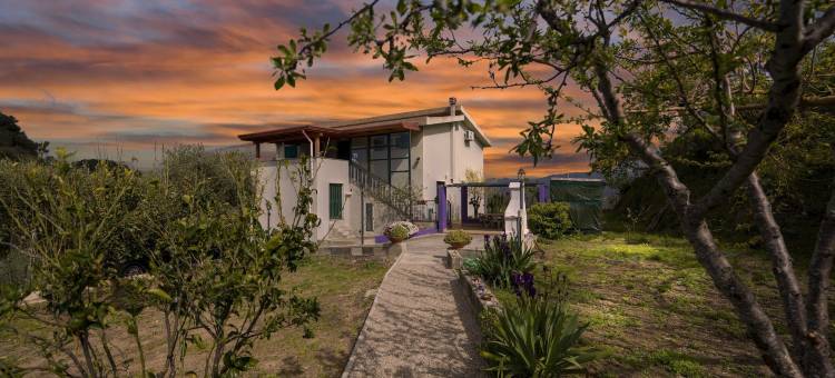 盖帝娜民宿(B&B Gàttina)图片