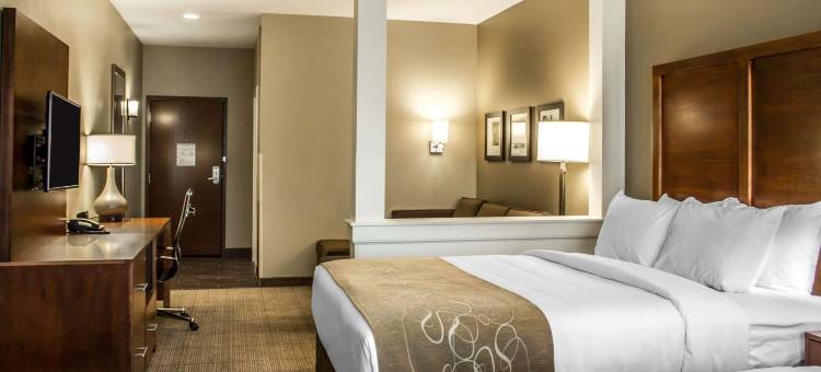 哈特维尔北坎顿舒适套房酒店(Comfort Suites Hartville-North Canton)图片