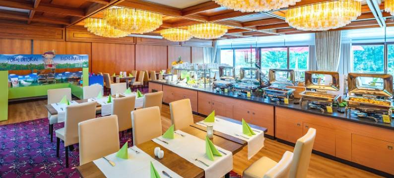 阿霍恩哈兹布劳恩拉格酒店(Ahorn Harz Hotel Braunlage)图片